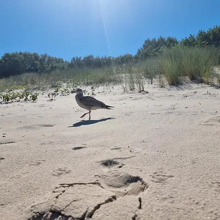 Lägenhet Ferienresidenz Zur Ostsee Zempin