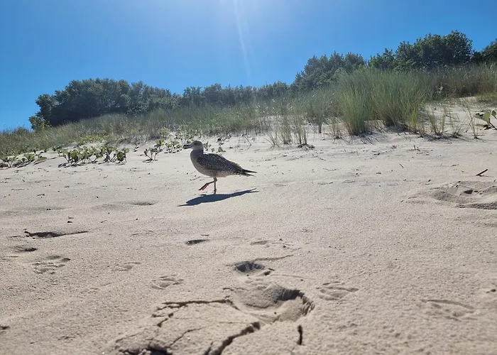 شقة Ferienresidenz Zur Ostsee زيمبين